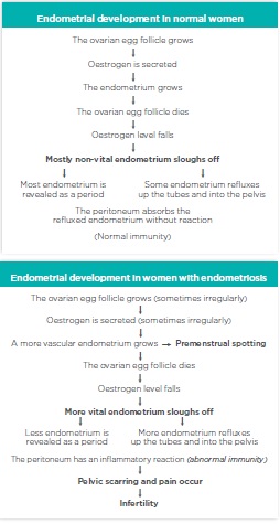 Fertility Week :: Endometriosis and Fertility