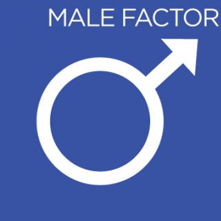 Male Factor